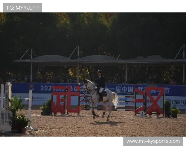 伊朗马术协会与美洲马术协会合作，举办国际马术交流活动，促进文化互鉴。